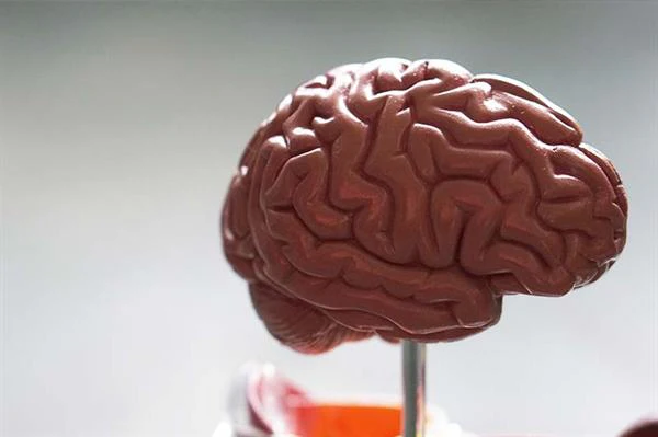 Slip disc physiotherapy