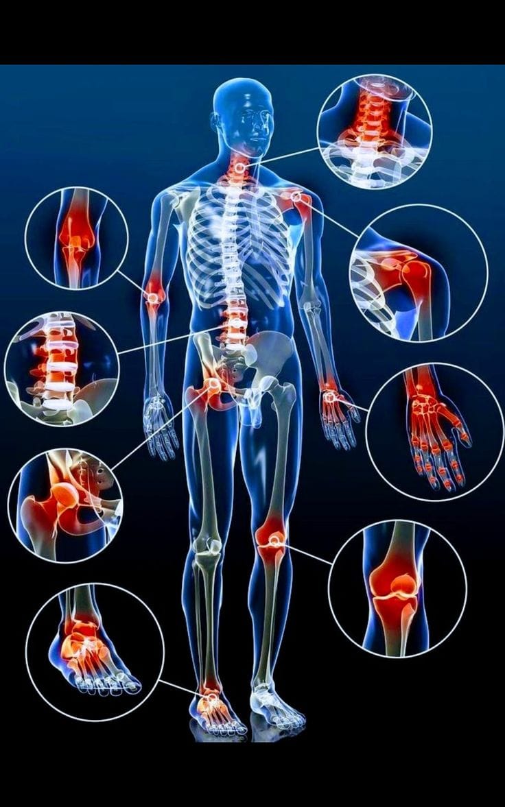 Physiotherapy clinic interior